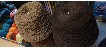bild7